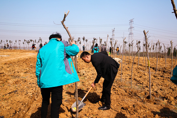 “攜手植樹，共創(chuàng)藍(lán)天”丨南京新華師生共筑新華育才林