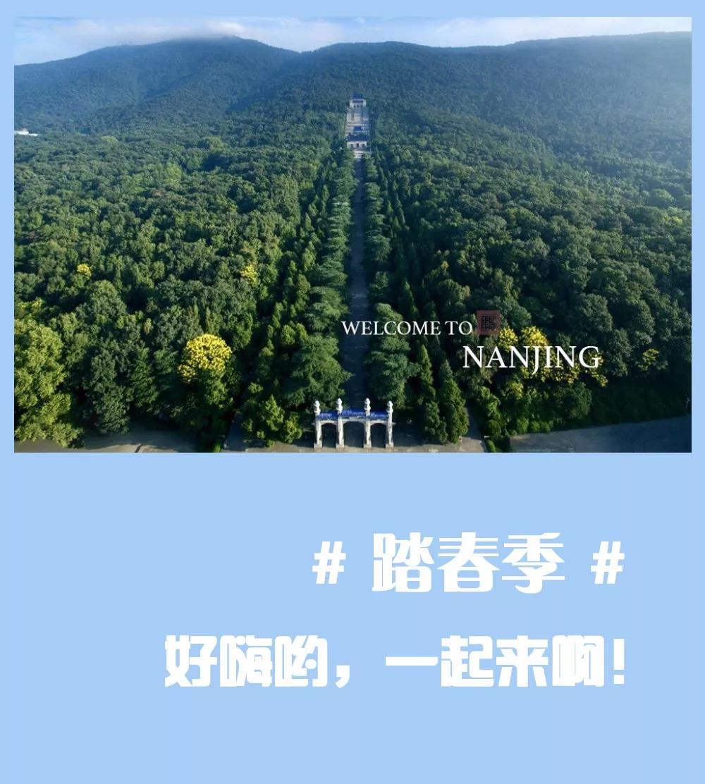 安排上了，南京新華邀你共赴免費(fèi)體驗(yàn)營