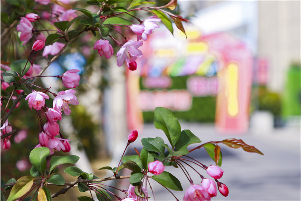 春暖花開，等你歸來——邀你云賞南新春景，以慰思念