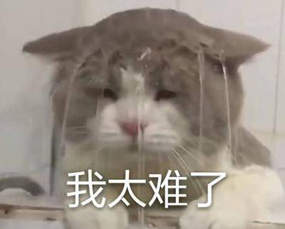 勁爆！新華電腦教育服務(wù)旗艦店正式入駐天貓，課程1折秒殺！