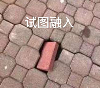 新華互聯(lián)網(wǎng)科技正式入駐Bilibili！會(huì)摩擦出什么樣火花呢？